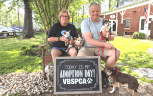 Retired Navy officer with heart for older pets is lifeline to senior dog in need