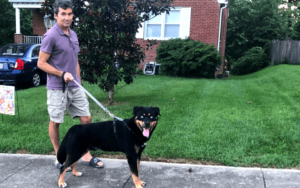 Retired Army veteran and affectionate rescue dog make unlikely match