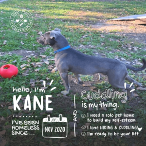 Kane