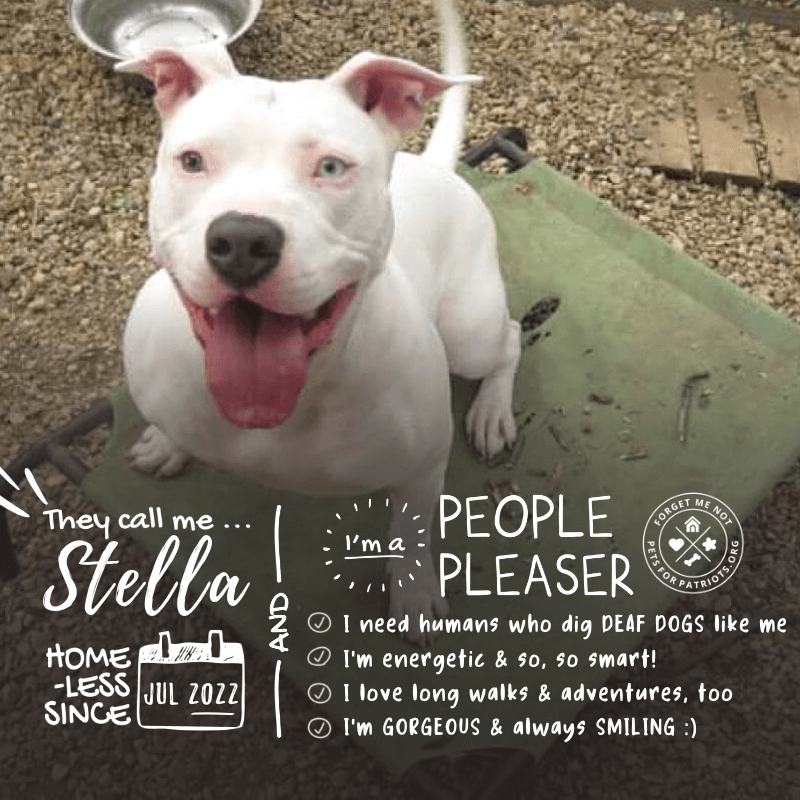 Stella