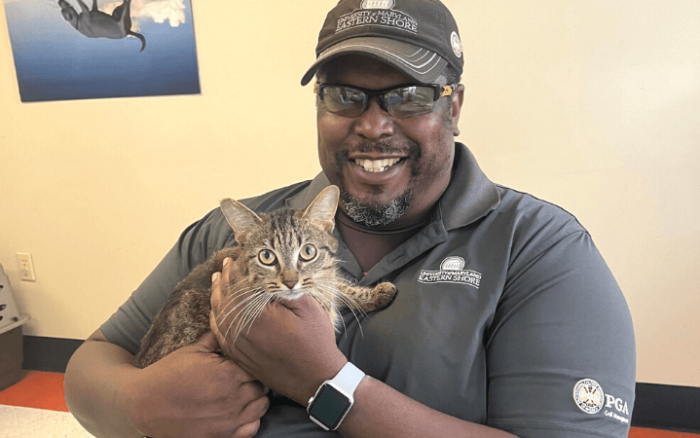 Kindred spirits shelter cat and Army veteran overcome loneliness together
