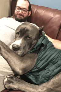 Marine rescues giant dog who loves parties and people clothes