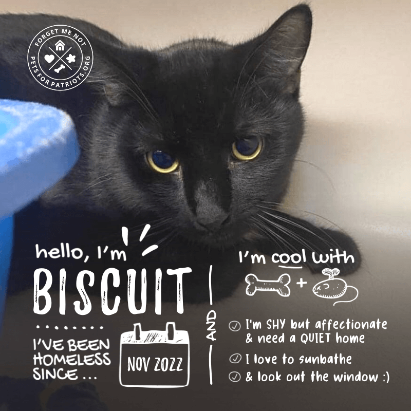 Biscuit