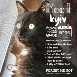 Kyiv