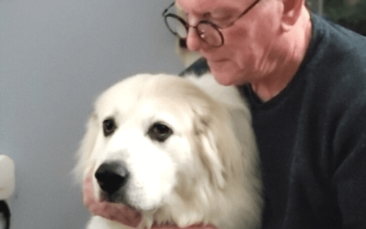 Vietnam veteran and cancer survivor gives abused dogs a loving home