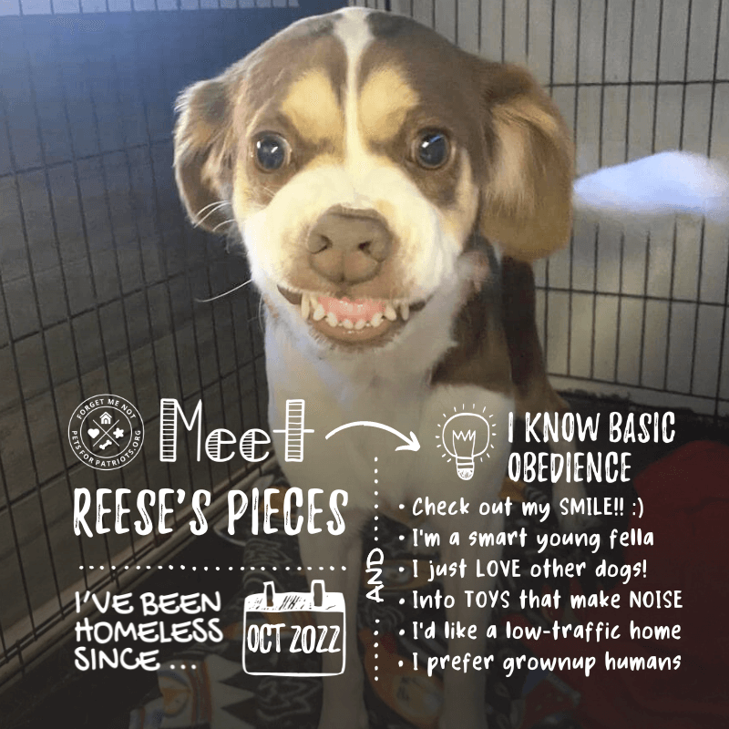 Reese's Pieces