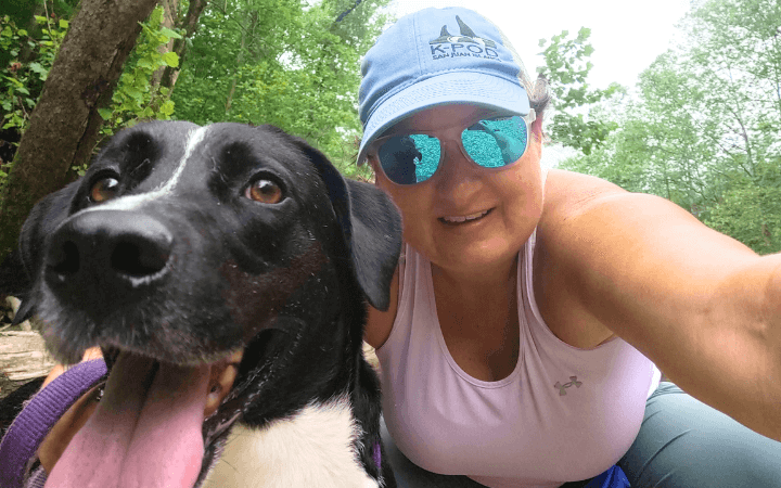 Army veteran learns that untrained rescue dog is worthy of her effort