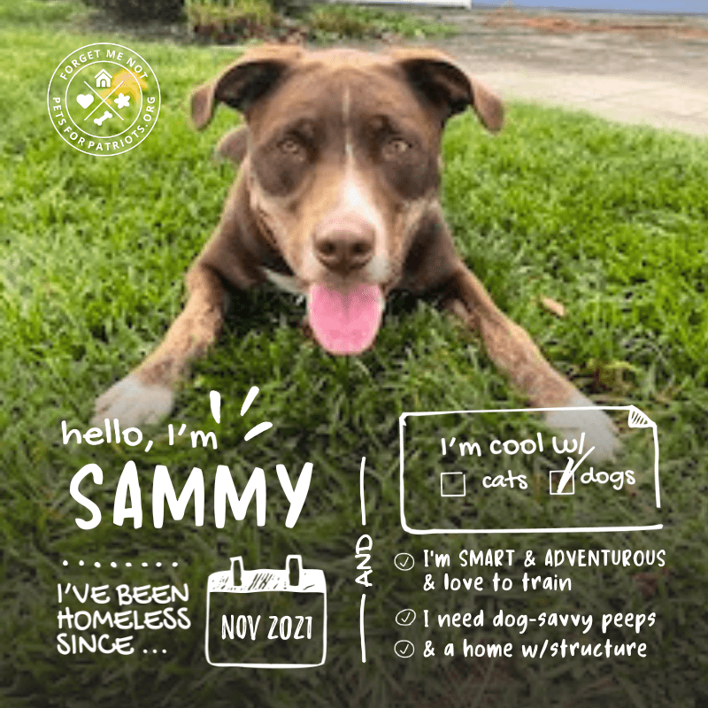 Sammy