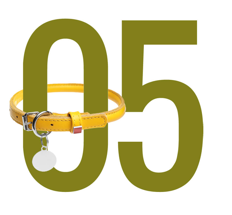pfp-gs-numbers-05-white