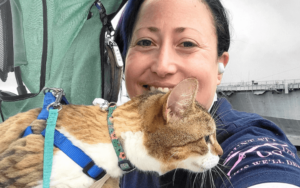 Older cat brings new energy to Marine Corps veteran and her resident feline