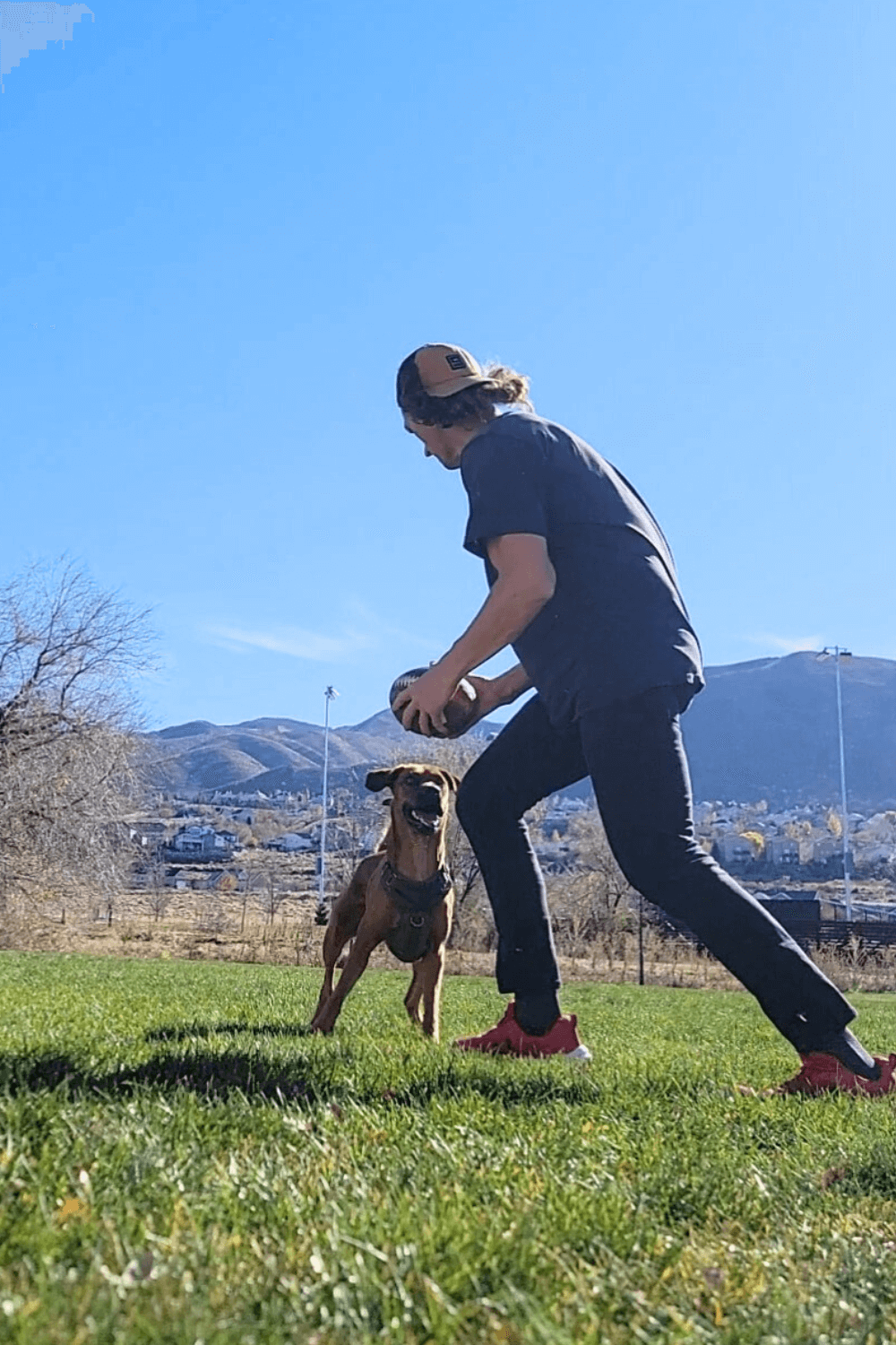 Iraq war veteran finds kindred spirit in athletic rescue dog