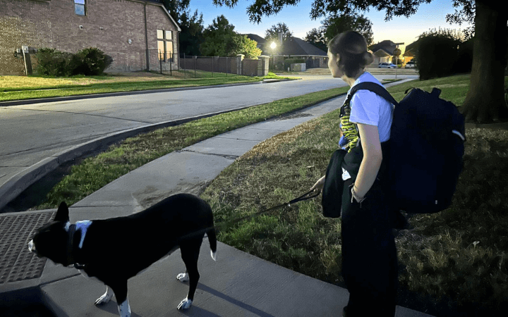 Career soldier gives giant rescue dog a fun feline name