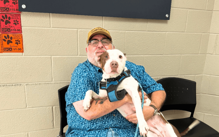 Submariner rescues abused Pit Bull after loss of his previous dog