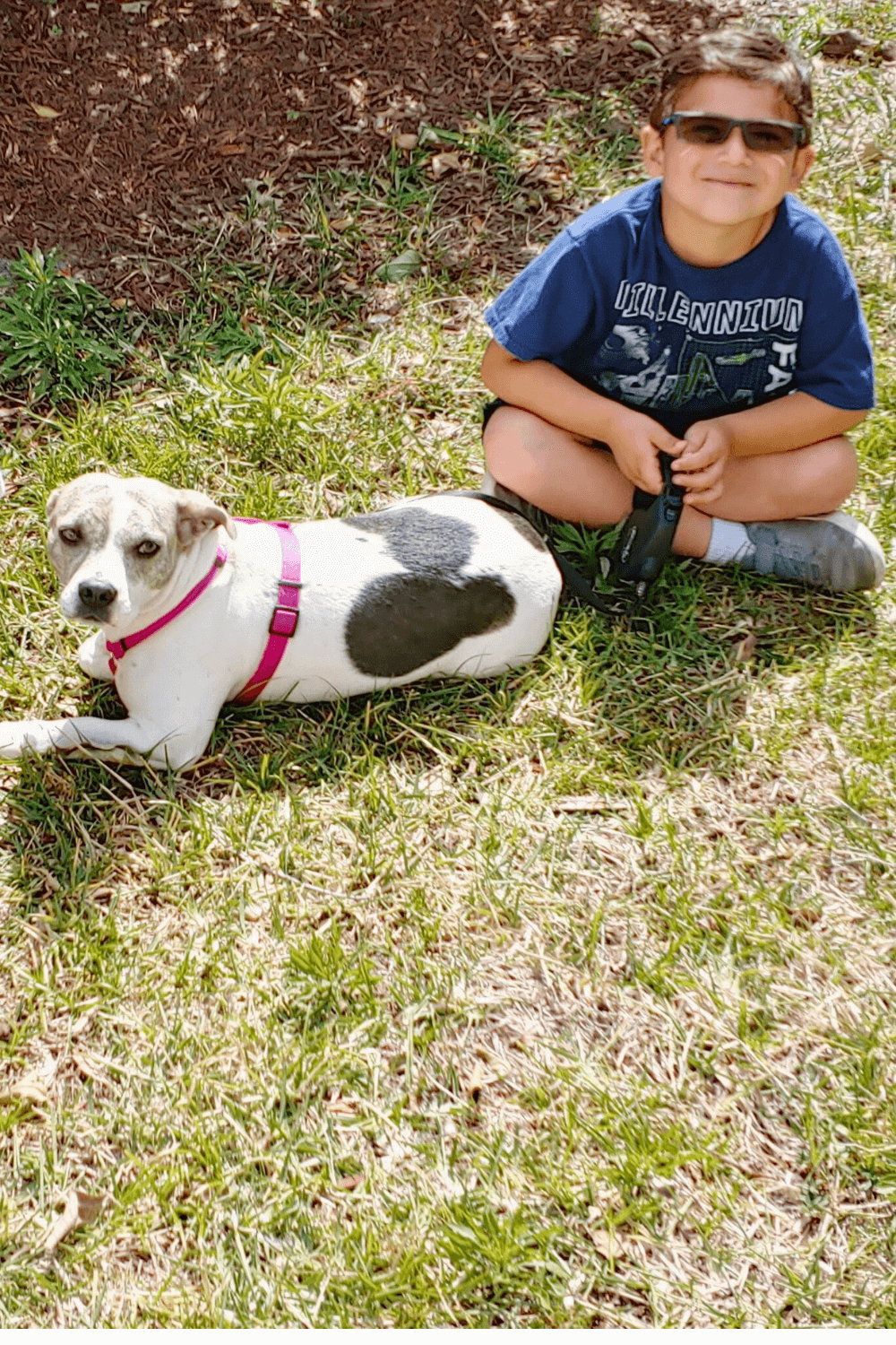 Rescue dog brings valuable life lessons to young military family