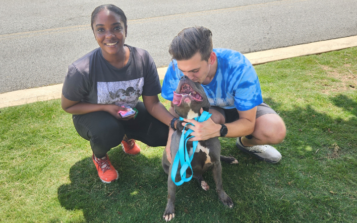 Veteran devoted to healing others saves dog with chronic medical needs