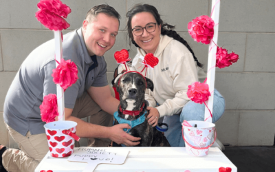 Air Force couple with heart for rescue gives death row dog his wings