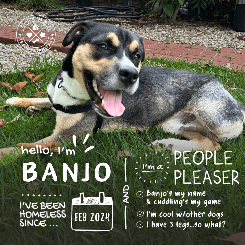 Banjo