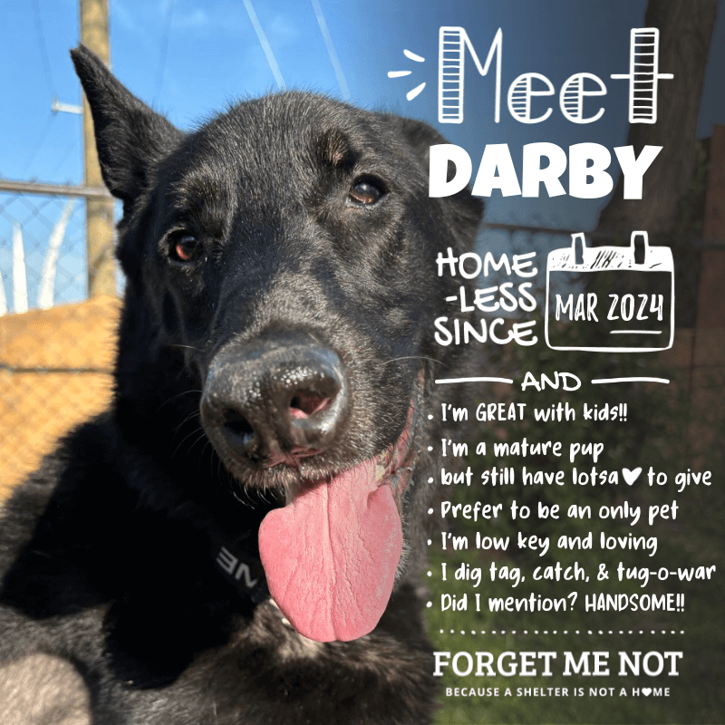 Darby