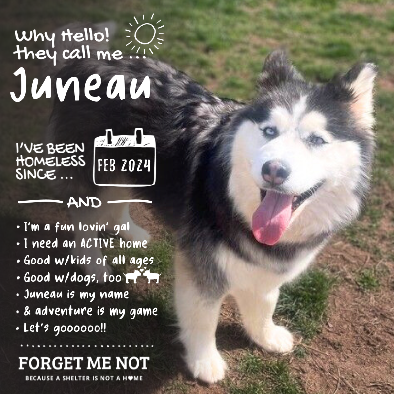 Juneau