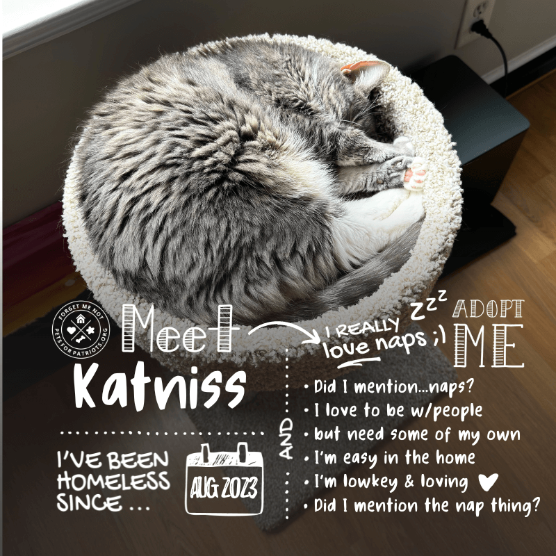 Katniss