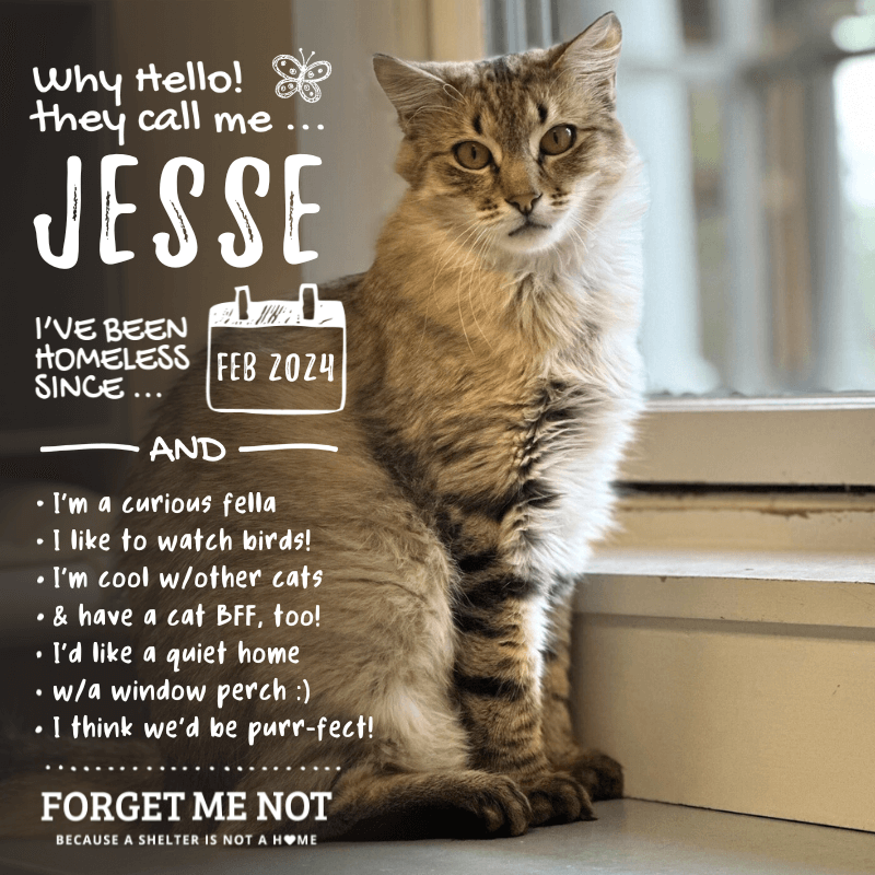 Jesse
