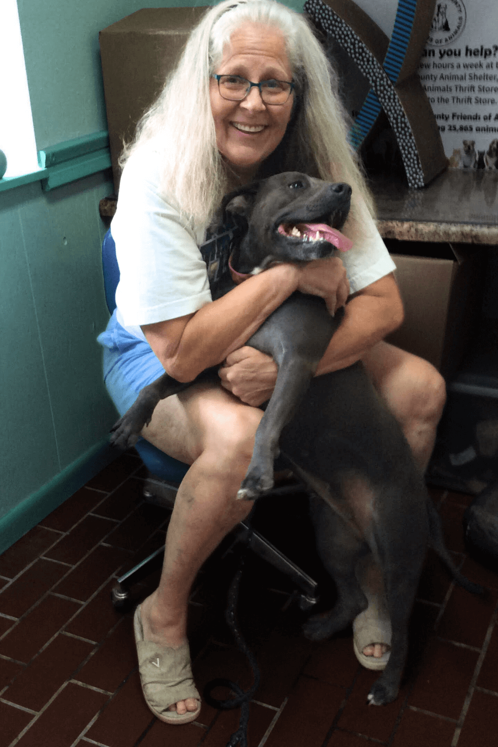 Pit Bull offers renewal to Navy veteran and domestic abuse survivor