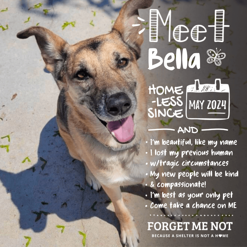 Bella