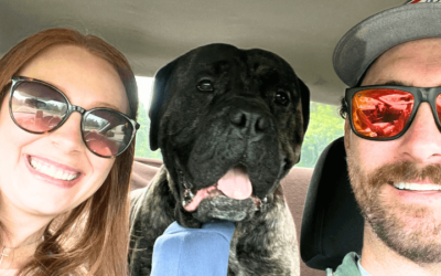 Air Force veteran grounded by 120 pounds of rescue dog love