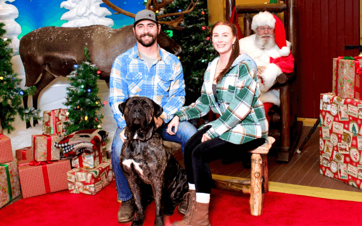 Air Force veteran grounded by 120 pounds of rescue dog love