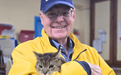 How a widowed dog loving Navy veteran became a devoted cat guy