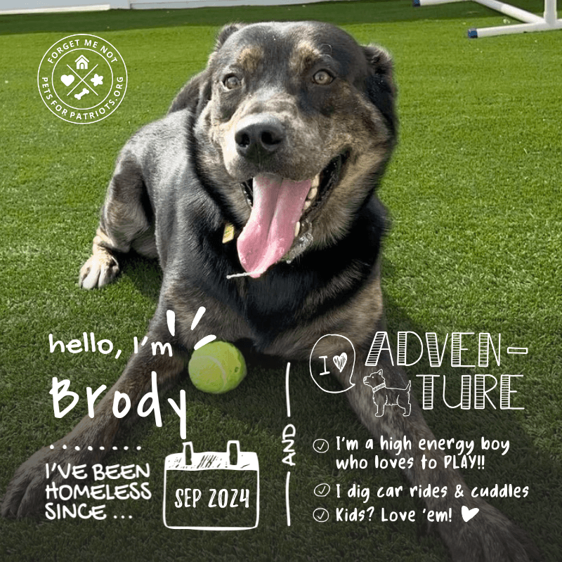 Brody