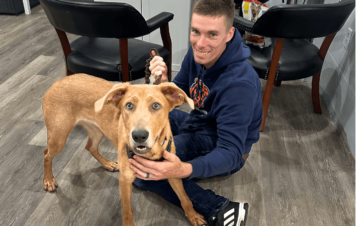 Soldier with passion for rescue adds abandoned dog to his pack