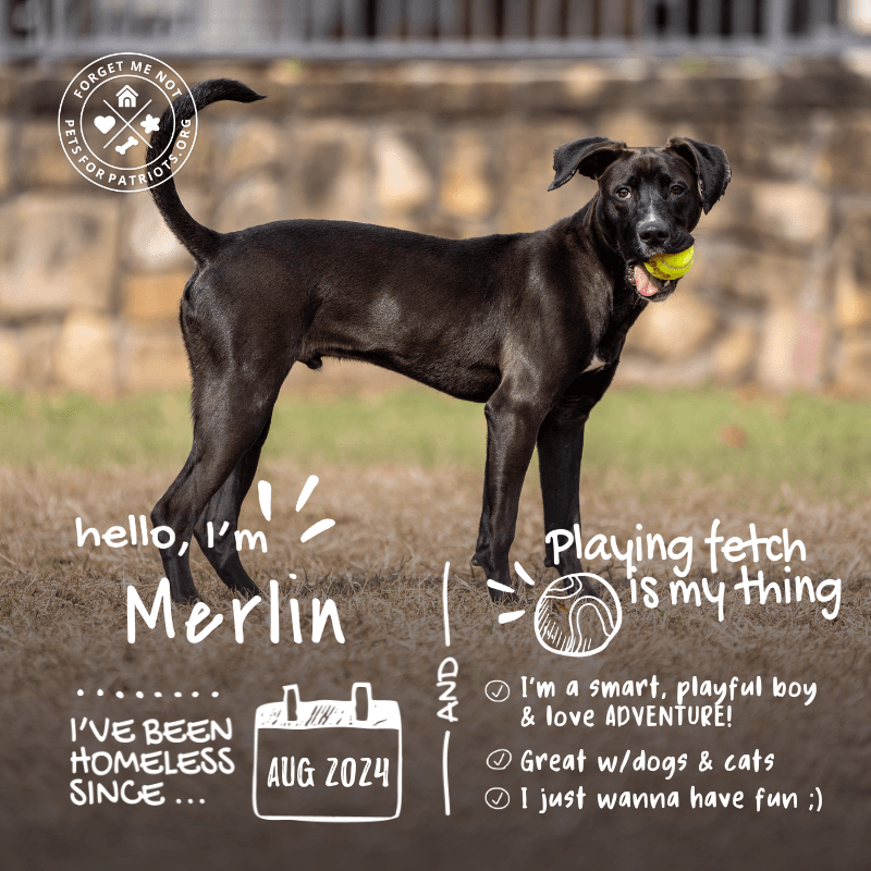 Merlin