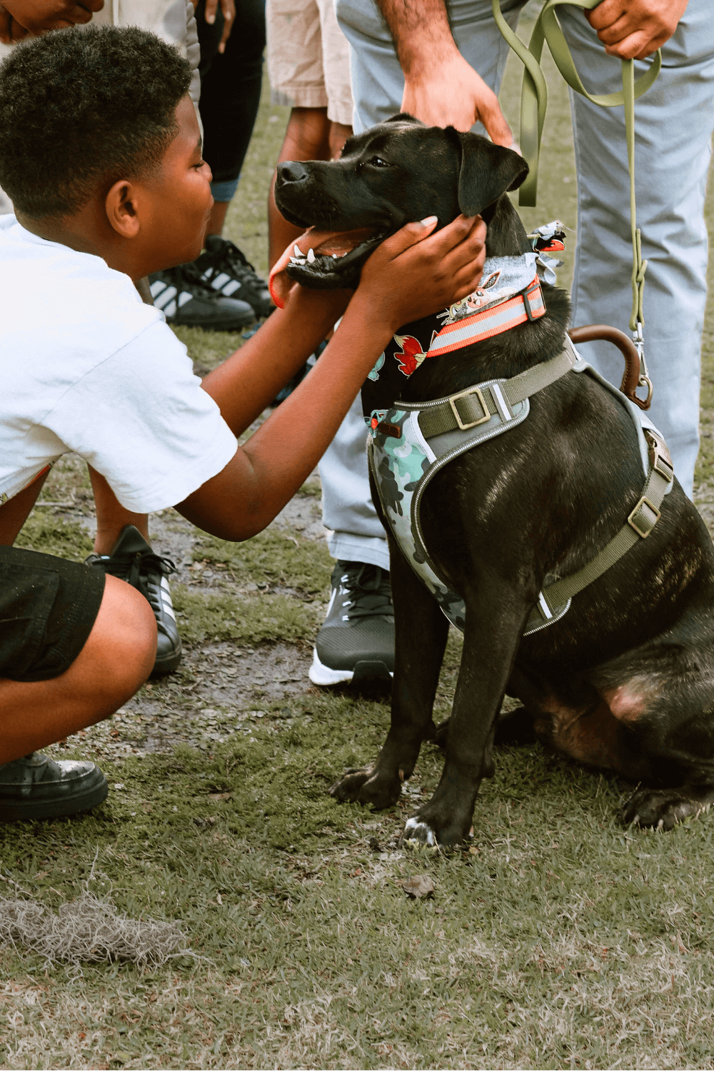 From zero to hero for an adopted dog and his new military family
