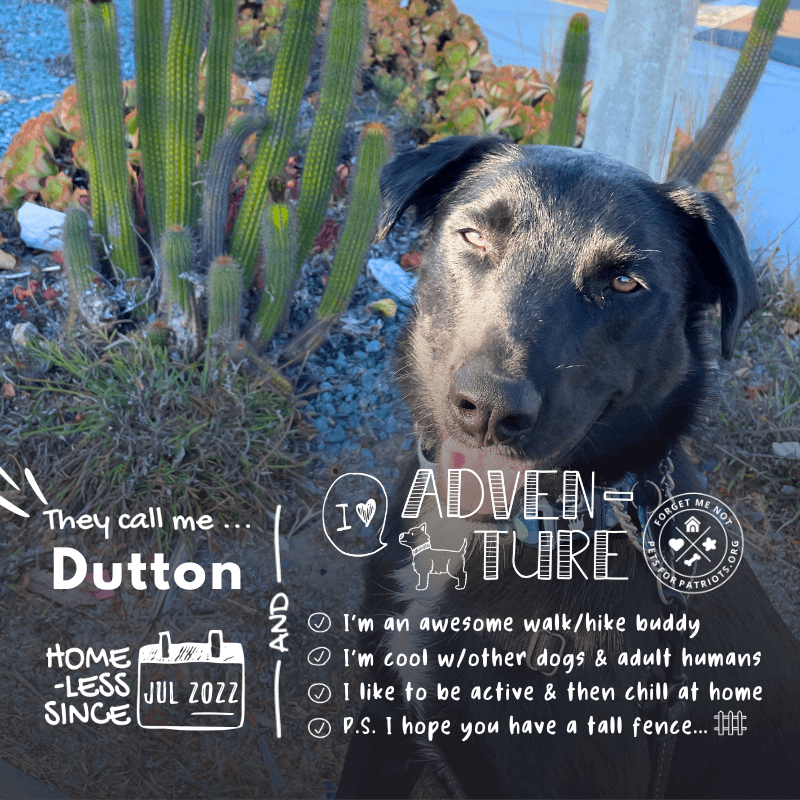 Dutton