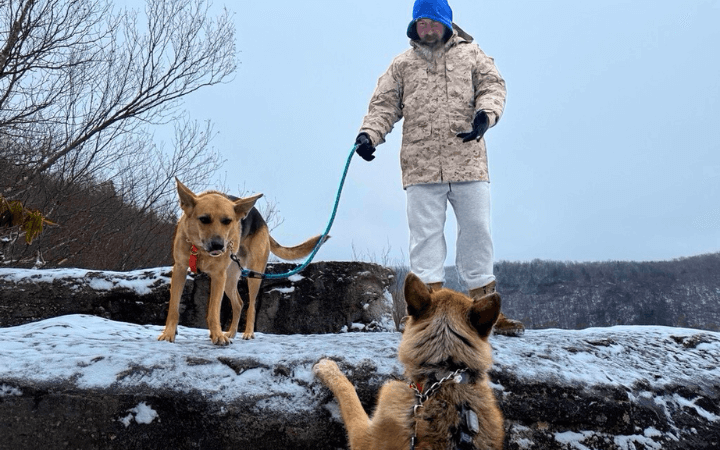 Retired Navy veteran gains newfound joy with quirky rescue dog