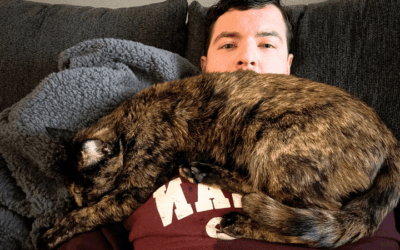 Rescue cat lets lonely sailor know that he is not alone