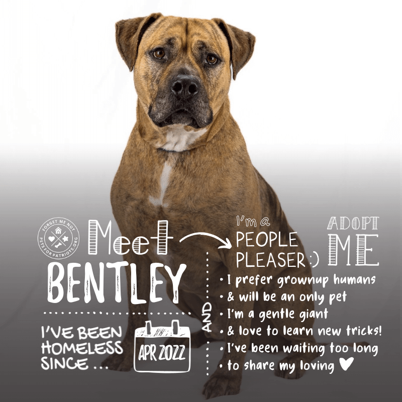 Bentley