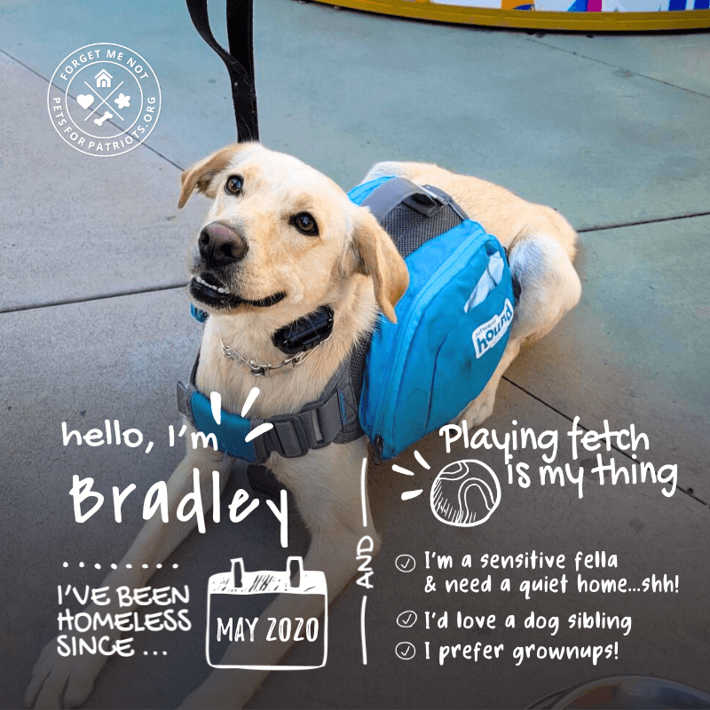 Bradley