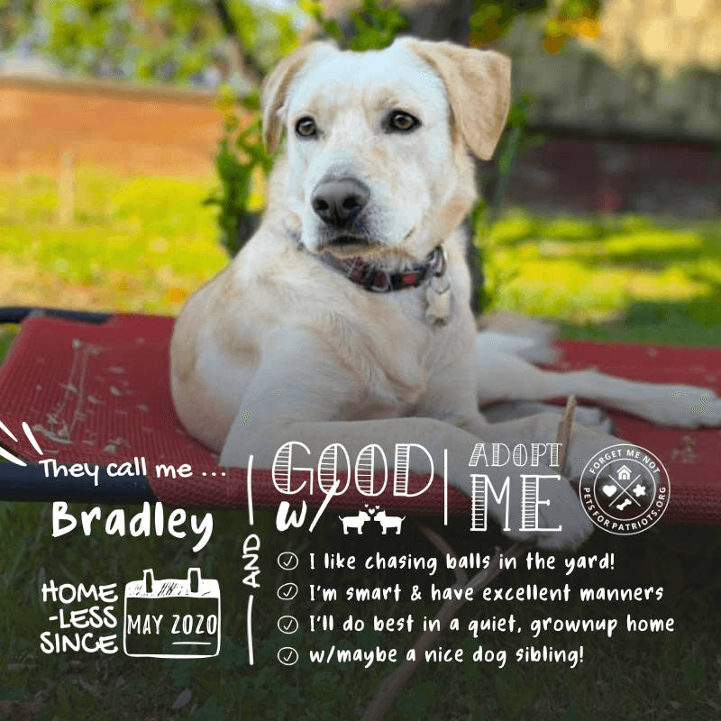 Bradley