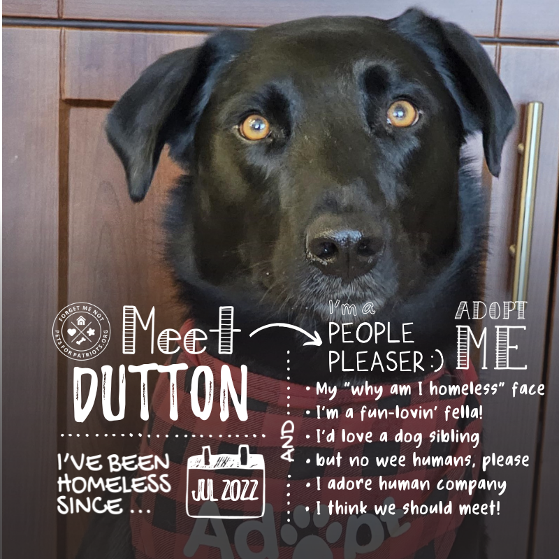 Dutton