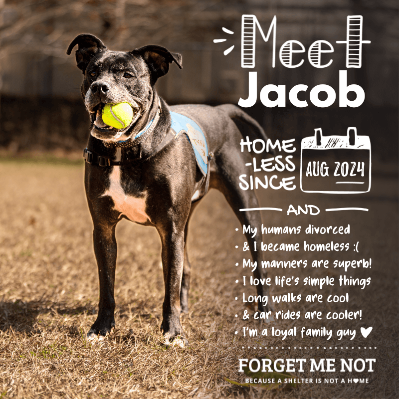 Jacob