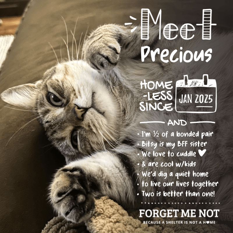 Precious