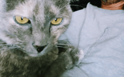 Air Force veteran prone to social isolation adopts a feline friend