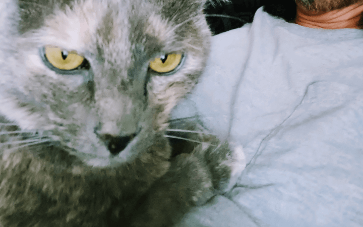 Air Force veteran prone to social isolation adopts a feline friend