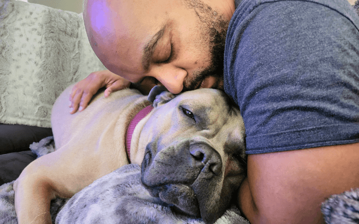 Pair of Pitties help an Air Force family ease its grief