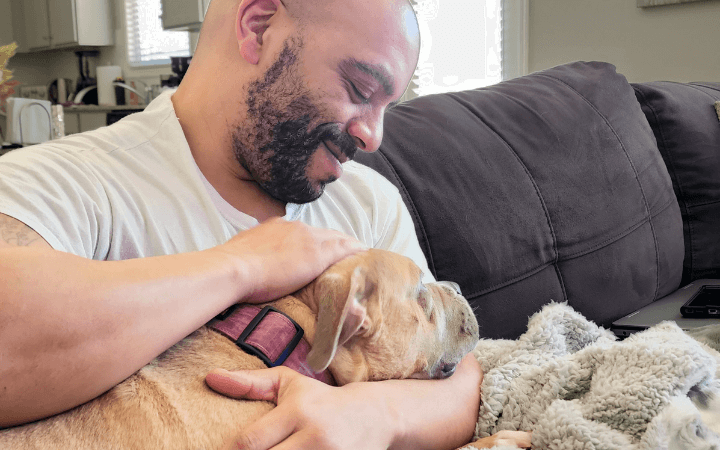 Pair of Pitties help an Air Force family ease its grief