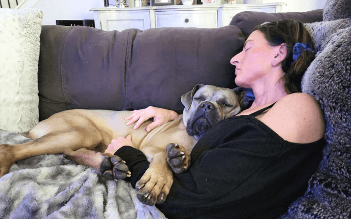 Pair of Pitties help an Air Force family ease its grief