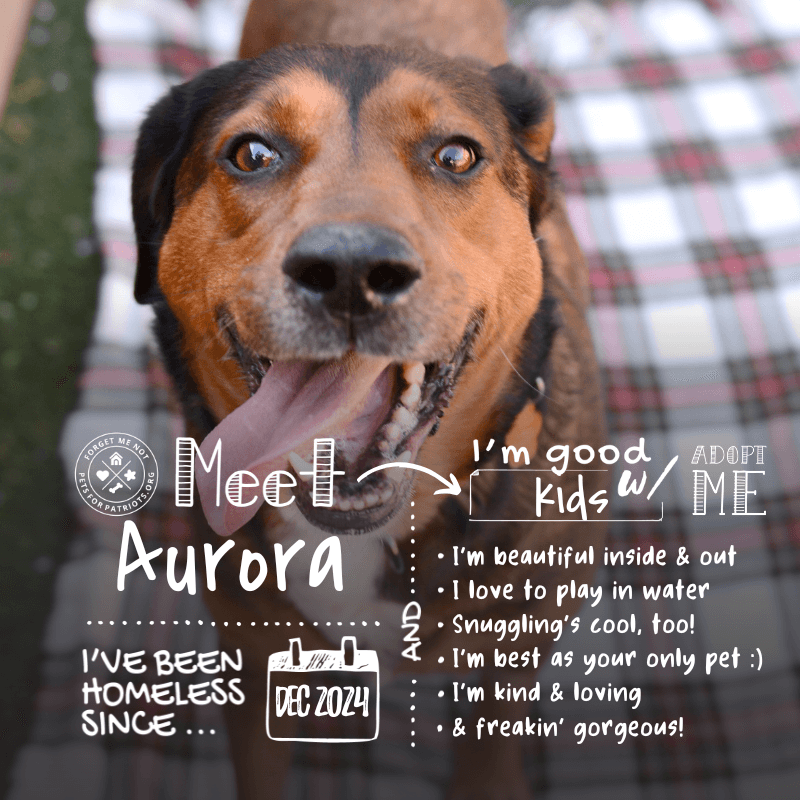 Aurora