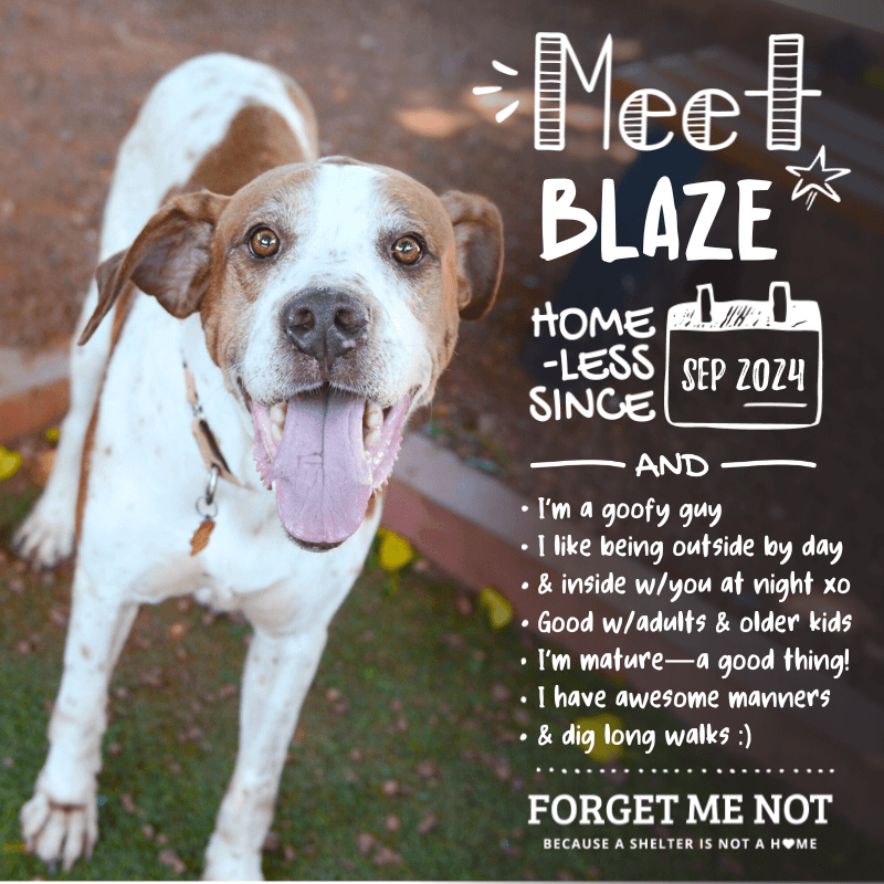 Blaze